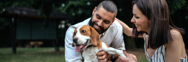 A Profile of Pet Owners: What Every Pet Insurer Should Know