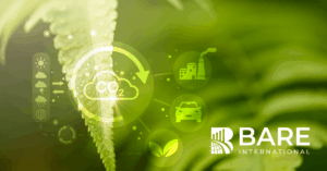 Green leaf with sustainability icons showing CO2 reduction, environmental impact, and customer experience concepts, with BARE International logo.