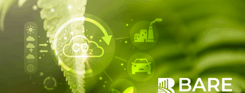 Green leaf with sustainability icons showing CO2 reduction, environmental impact, and customer experience concepts, with BARE International logo.